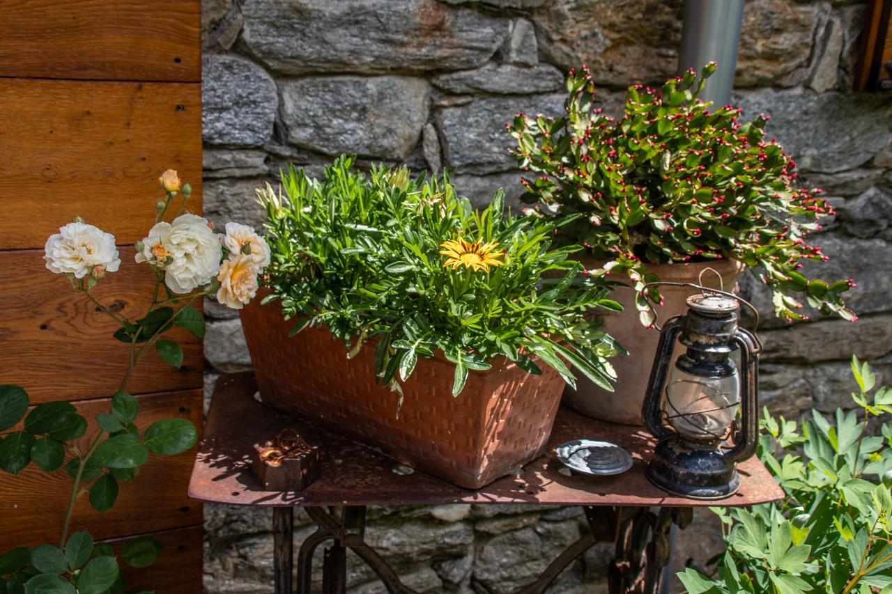 Agriturismo Treterre Pianello Del Lario Exterior foto