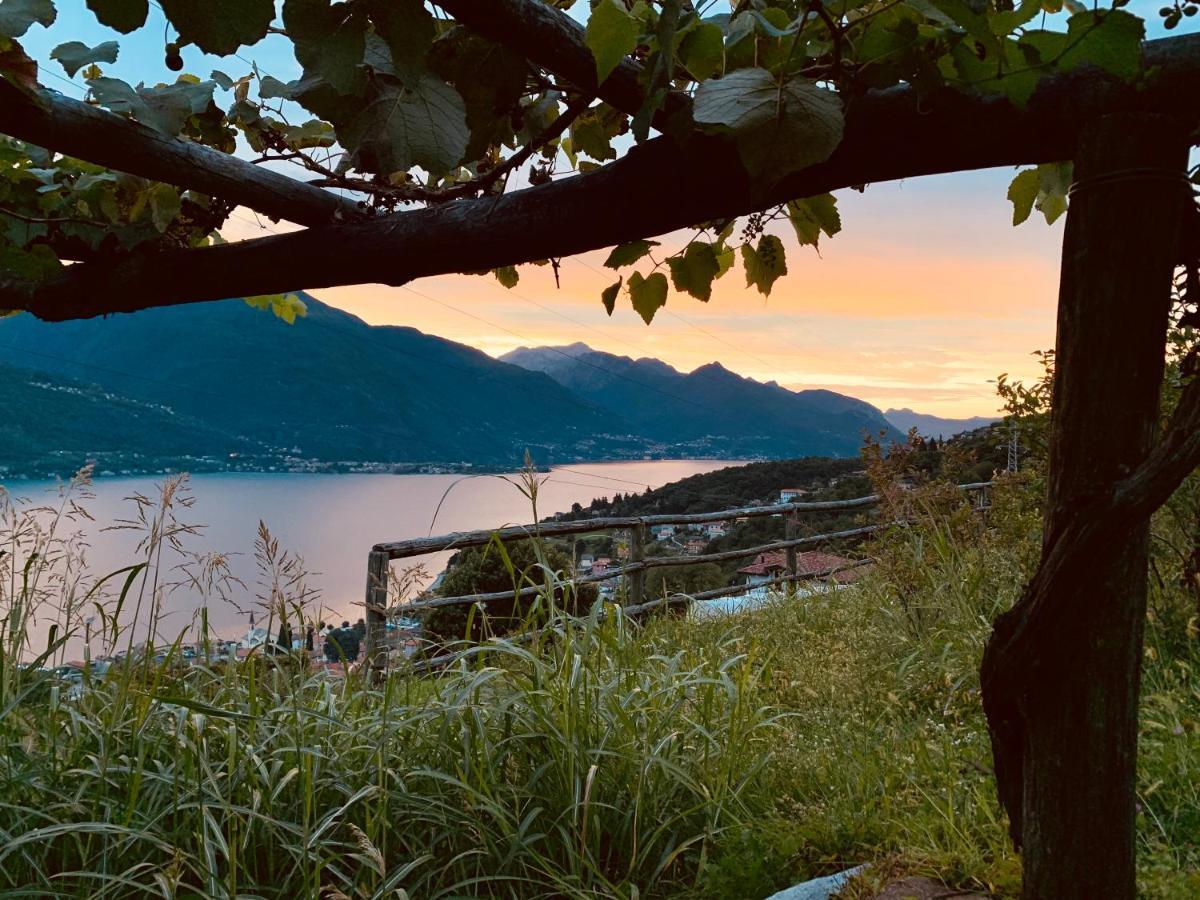 Agriturismo Treterre Pianello Del Lario Exterior foto